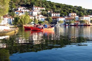 Τοπική Στην Ολομέλεια