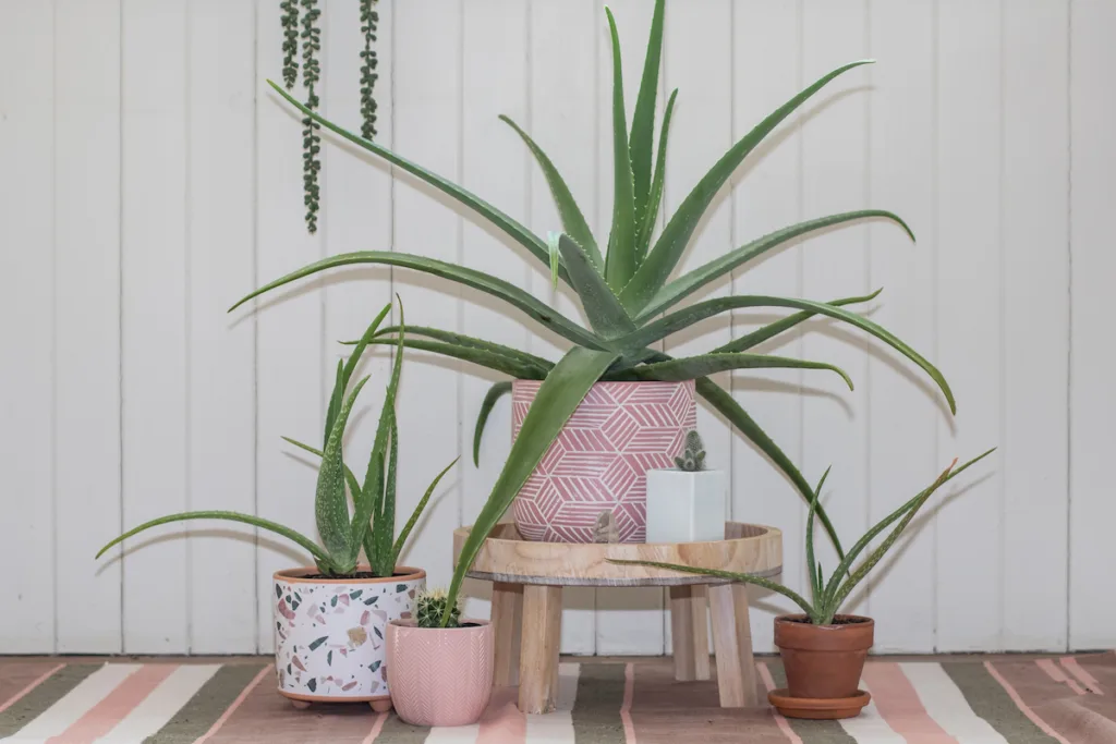 Summer-ize your home: 5 πρακτικές ιδέες που αλλάζουν αμέσως την ατμόσφαιρα Summer-ize your home: 5 πρακτικές ιδέες που αλλάζουν αμέσως την ατμόσφαιρα
