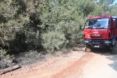 Πυροσβεστική δασική περιοχή