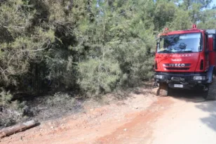 Πυροσβεστική δασική περιοχή