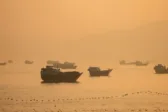 Ενημέρωση πετρελαίου