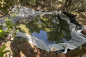 Φυτεία κάνναβης μαμούθ στα Καμένα Βούρλα: 1.383 δενδρύλλια, θερμοκήπια και δίκτυο ποτίσματος 4 χιλιομέτρων! ΦΩΤΟ