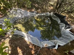 Φυτεία κάνναβης μαμούθ στα Καμένα Βούρλα: 1.383 δενδρύλλια, θερμοκήπια και δίκτυο ποτίσματος 4 χιλιομέτρων! ΦΩΤΟ