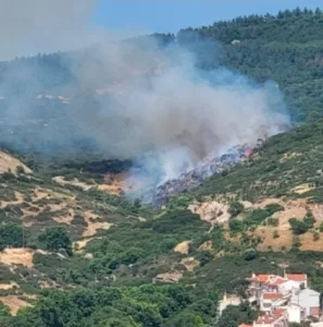 Πεύκα Θεσσαλονίκης: Οριοθετήθηκε η φωτιά, το 112 καλούσε τους κατοίκους να είναι σε ετοιμότητα, ΦΩΤΟ, ΒΙΝΤΕΟ Πεύκα Θεσσαλονίκης: Οριοθετήθηκε η φωτιά, το 112 καλούσε τους κατοίκους να είναι σε ετοιμότητα, ΦΩΤΟ, ΒΙΝΤΕΟ