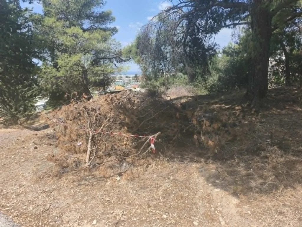 Αυτοψία της «Π» στο Αλσύλιο του Γηροκομείου: Καθαριότητα, αλλά και σημεία SOS ΦΩΤΟΓΡΑΦΙΕΣ Αυτοψία της «Π» στο Αλσύλιο του Γηροκομείου: Καθαριότητα, αλλά και σημεία SOS ΦΩΤΟΓΡΑΦΙΕΣ