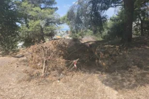 Πάτρα: Τρεις απευθείας αναθέσεις 88.200 ευρώ για την απομάκρυνση χορταριών σε Ρίο, Βραχνεΐκα και Μεσσάτιδα