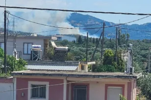 Φωτιά σε εξέλιξη στα Ζησιμέικα Δυτικής Αχαΐας: Ισχυρές δυνάμεις της Πυροσβεστικής στο σημείο