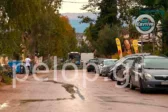 Πάτρα: Πτώση μεγάλου κλαδιού στα Βραχνεΐκα μετά την πρωινή βροχή ΦΩΤΟ