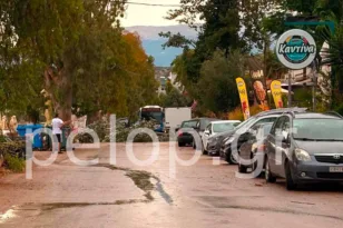Πάτρα: Πτώση μεγάλου κλαδιού στα Βραχνεΐκα μετά την πρωινή βροχή ΦΩΤΟ