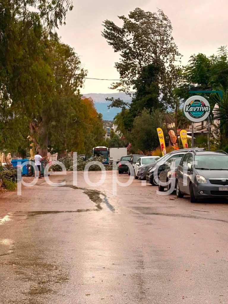 Πάτρα: Πτώση μεγάλου κλαδιού στα Βραχνεΐκα μετά την πρωινή βροχή ΦΩΤΟ Πάτρα: Πτώση μεγάλου κλαδιού στα Βραχνεΐκα μετά την πρωινή βροχή ΦΩΤΟ