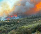 Αιγιάλεια: Φωτιά πάνω από την Ακολη - Μήνυμα από το 112 – Μεγάλη κινητοποίηση της Πυροσβεστικής