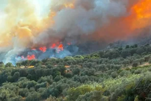 Αιγιάλεια: Φωτιά πάνω από την Ακολη – Μήνυμα από το 112 – Μεγάλη κινητοποίηση της Πυροσβεστικής