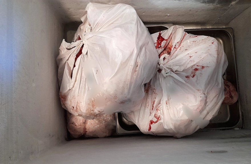 Από μονάδα χωρίς άδεια στο Ίλιον σε 20 επιχειρήσεις: Κατασχέθηκαν 6,2 τόνοι ακατάλληλων κρεάτων