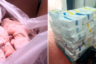 Από μονάδα χωρίς άδεια στο Ίλιον σε 20 επιχειρήσεις: Κατασχέθηκαν 6,2 τόνοι ακατάλληλων κρεάτων