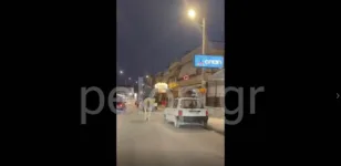 Το είδαμε κι αυτό στην Πάτρα: Βγήκε βόλτα με το άλογό του στην Ακρωτηρίου! ΒΙΝΤΕΟ