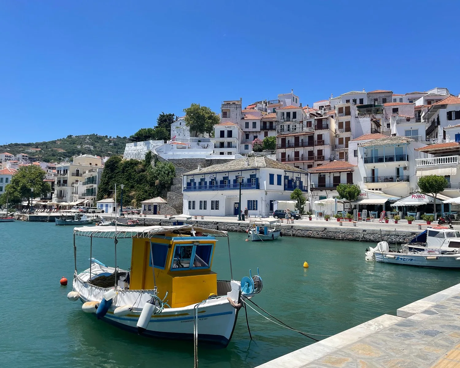 Σκόπελος: Διεθνές αφιέρωμα την κατατάσσει στους ελκυστικούς ελληνικούς προορισμούς για το 2026