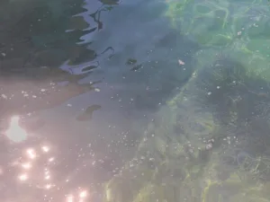 Σκάφη προσέγγισαν την Αγραπιδιά στον Κάλαμο και γέμισε ξαφνικά φυσαλίδες η θάλασσα