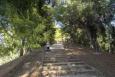 Πάτρα: Ψηφιακή «ασπίδα» για το Δασύλλιο - Πρόταση χρηματοδότησης για σημαντικό έργο