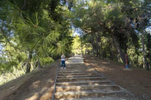 Πάτρα: Ψηφιακή «ασπίδα» για το Δασύλλιο – Πρόταση χρηματοδότησης για σημαντικό έργο