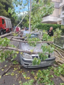 Το μπουρίνι διέλυσε δέντρο στο Μενίδι, το οποίο...προσγειώθηκε σε αυτοκίνητο, ΦΩΤΟ