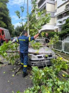 Το μπουρίνι διέλυσε δέντρο στο Μενίδι, το οποίο...προσγειώθηκε σε αυτοκίνητο, ΦΩΤΟ Το μπουρίνι διέλυσε δέντρο στο Μενίδι, το οποίο...προσγειώθηκε σε αυτοκίνητο, ΦΩΤΟ