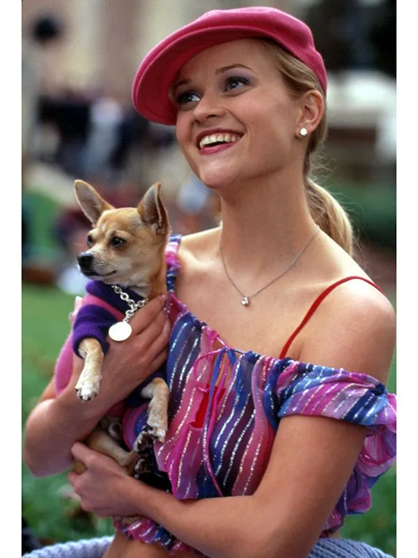 Elle Woods: Η «ροζ» ηρωίδα που επιστρέφει γιατί δεν έμαθε ποτέ να μικραίνει τον εαυτό της Elle Woods: Η «ροζ» ηρωίδα που επιστρέφει γιατί δεν έμαθε ποτέ να μικραίνει τον εαυτό της