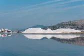 Η ΧΙΩΝ διεκδικεί τις Ελληνικές Αλυκές - Επτά επενδυτικά σχήματα για τις Αλυκές Μεσολογγίου