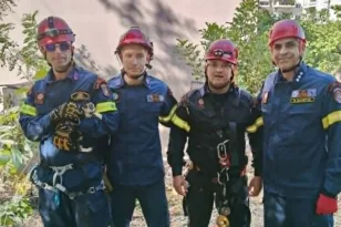 Πάτρα: Η ΕΜΑΚ έσωσε γατάκι που έπεσε σε πηγάδι με επιχείρηση βγαλμένη από κινηματογραφική ταινία, ΦΩΤΟ, ΒΙΝΤΕΟ