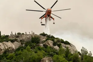 Φωτιά στο Ηράκλειο: Μήνυμα 112 για το Μελιδοχώρι – Στη μάχη 44 πυροσβέστες και δύο ελικόπτερα