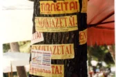 Πάτρα: Πληγωμένα δέντρα στην πόλη, από Σεπτέμβριο ο Δήμος ξεκινά καμπάνια ξεκινά καμπάνια ΦΩΤΟ