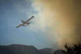 Δασική έκταση στον Μάραθο Ευρυτανίας όπου εκδηλώθηκε η πυρκαγιά