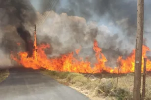 Καπνοί από τη φωτιά στην περιοχή Χαλκιέλια Πλωμαρίου στη Λέσβο