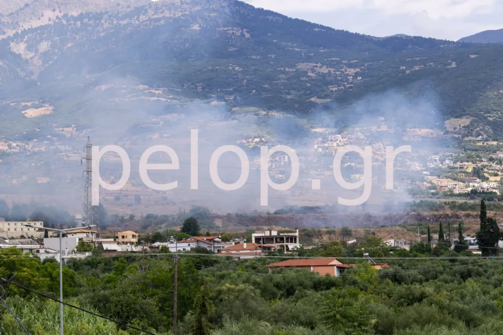 Πάτρα: Φωτιά –ξανά- στην Εγλυκάδα-Στο σημείο 5 πυροσβεστικά ΦΩΤΟ Πάτρα: Φωτιά –ξανά- στην Εγλυκάδα-Στο σημείο 5 πυροσβεστικά ΦΩΤΟ
