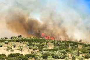 Πύρινος κλοιός στη χώρα: Μπαράζ εκκενώσεων σε Βοιωτία και Αργολίδα - Μάχη σε Ρέθυμνο, Πάρο και Ευρυτανία