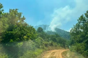 Καρδίτσα: Φωτιά σε δύσβατη δασική έκταση στα Κανάλια Μουζακίου – Σηκώθηκαν αεροσκάφη και ελικόπτερα