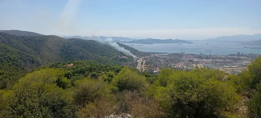 Συναγερμός στην Αττική: Φωτιά στην Περιφερειακή Αιγάλεω – Ήχησε το 112 Συναγερμός στην Αττική: Φωτιά στην Περιφερειακή Αιγάλεω – Ήχησε το 112