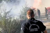 Φωτιά στη Φλόκα Αχαΐας: Η εικόνα της μάχης με τις φλόγες – Στη γραμμή πυρός ο δήμαρχος Γρηγόρης Αλεξόπουλος ΒΙΝΤΕΟ