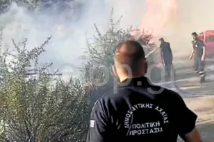 Φωτιά στη Φλόκα Αχαΐας: Η εικόνα της μάχης με τις φλόγες – Στη γραμμή πυρός ο δήμαρχος Γρηγόρης Αλεξόπουλος ΒΙΝΤΕΟ