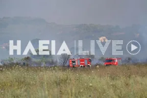 Πύργος Ηλείας: Χωρίς ενεργό μέτωπο η φωτιά, ΦΩΤΟ