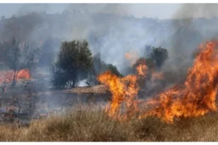 Πυροσβεστική: 59 αγροτοδασικές πυρκαγιές σε ένα 24ωρο – 14 παραμένουν σε εξέλιξη