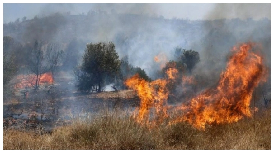 Πλωμάρι: Οι φλόγες κατευθύνονται προς τη Μελίντα – Μάχη με τους ισχυρούς ανέμους Πλωμάρι: Οι φλόγες κατευθύνονται προς τη Μελίντα – Μάχη με τους ισχυρούς ανέμους