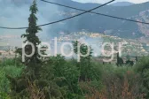 Πάτρα: Οριοθετήθηκε η φωτιά στην Εγλυκάδα