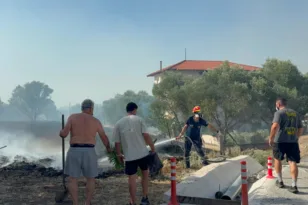 Καλύτερη εικόνα στις φωτιές σε Πυλαία και Μονόλοφο Θεσσαλονίκης – Μεγάλη κινητοποίηση της Πυροσβεστικής