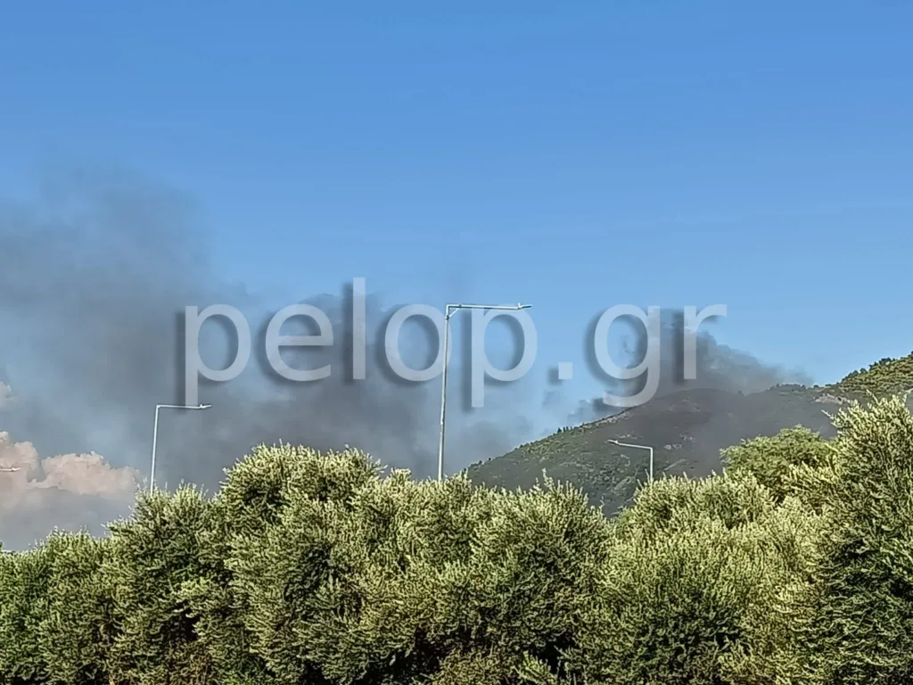 Πάτρα: Φωτιά στο Πλατάνι Ρίου, στη μάχη και εναέρια μέσα ΦΩΤΟ-ΒΙΝΤΕΟ