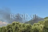 Πάτρα: Περιορίστηκε η φωτιά στο Πλατάνι