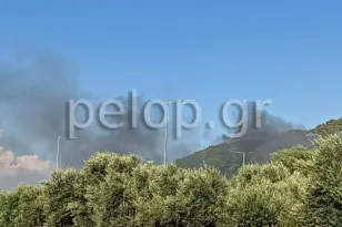 Πάτρα: Περιορίστηκε η φωτιά στο Πλατάνι