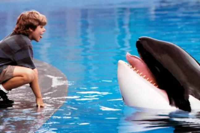 Επιστρέφει το «Free Willy» – Η Warner Bros ετοιμάζει reboot της εμβληματικής ταινίας με την όρκα που συγκίνησε μια γενιά