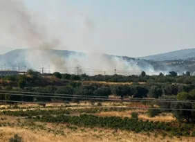 Καλύτερη η εικόνα από τη φωτιά στο Πάτημα Κορωπίου – Μεγάλη κινητοποίηση της Πυροσβεστικής
