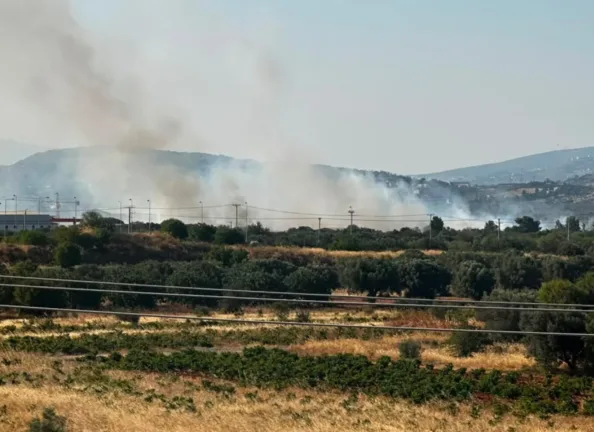 Καλύτερη η εικόνα από τη φωτιά στο Πάτημα Κορωπίου – Μεγάλη κινητοποίηση της Πυροσβεστικής