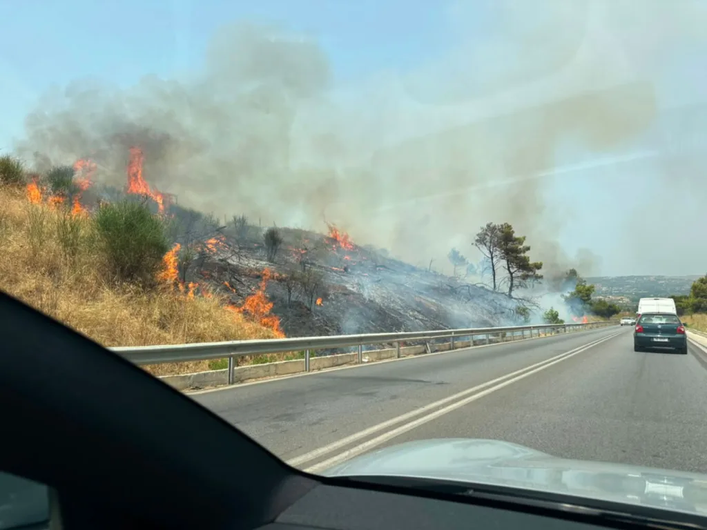 Υπό έλεγχο η φωτιά στις Αφίδνες – Χωρίς ενεργό μέτωπο η πυρκαγιά κοντά στην εθνική Αθηνών-Λαμίας